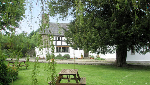 Walford Court Bed and Breakfast Leintwardine Exterior foto